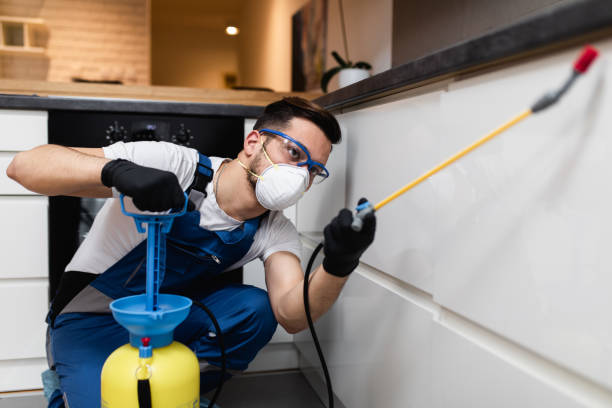 Best Flea Control Services  in Fort Pierre, SD