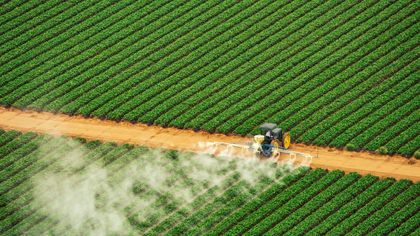 Best Local Pest Control Services  in Fort Pierre, SD