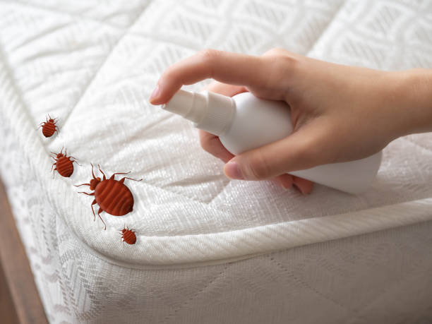 Best Flea Control Services  in Fort Pierre, SD