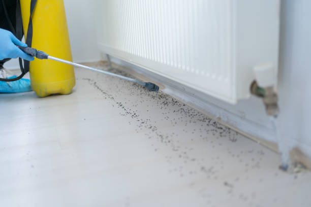 Best Mosquito Control Services  in Fort Pierre, SD