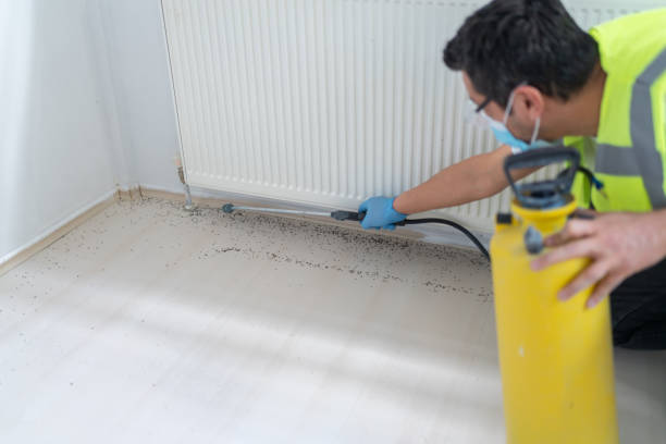Best Affordable Pest Control Services  in Fort Pierre, SD