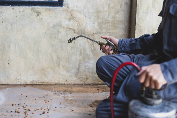 Reliable Fort Pierre, SD Pest Control Solutions