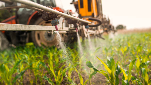 Best Pest Inspection Near Me  in Fort Pierre, SD