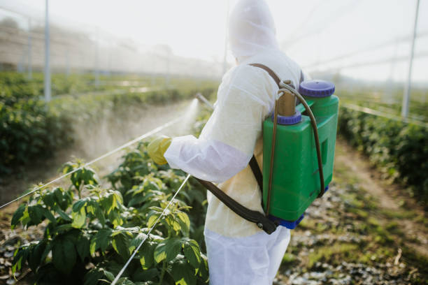 Wildlife Control Services in Fort Pierre, SD